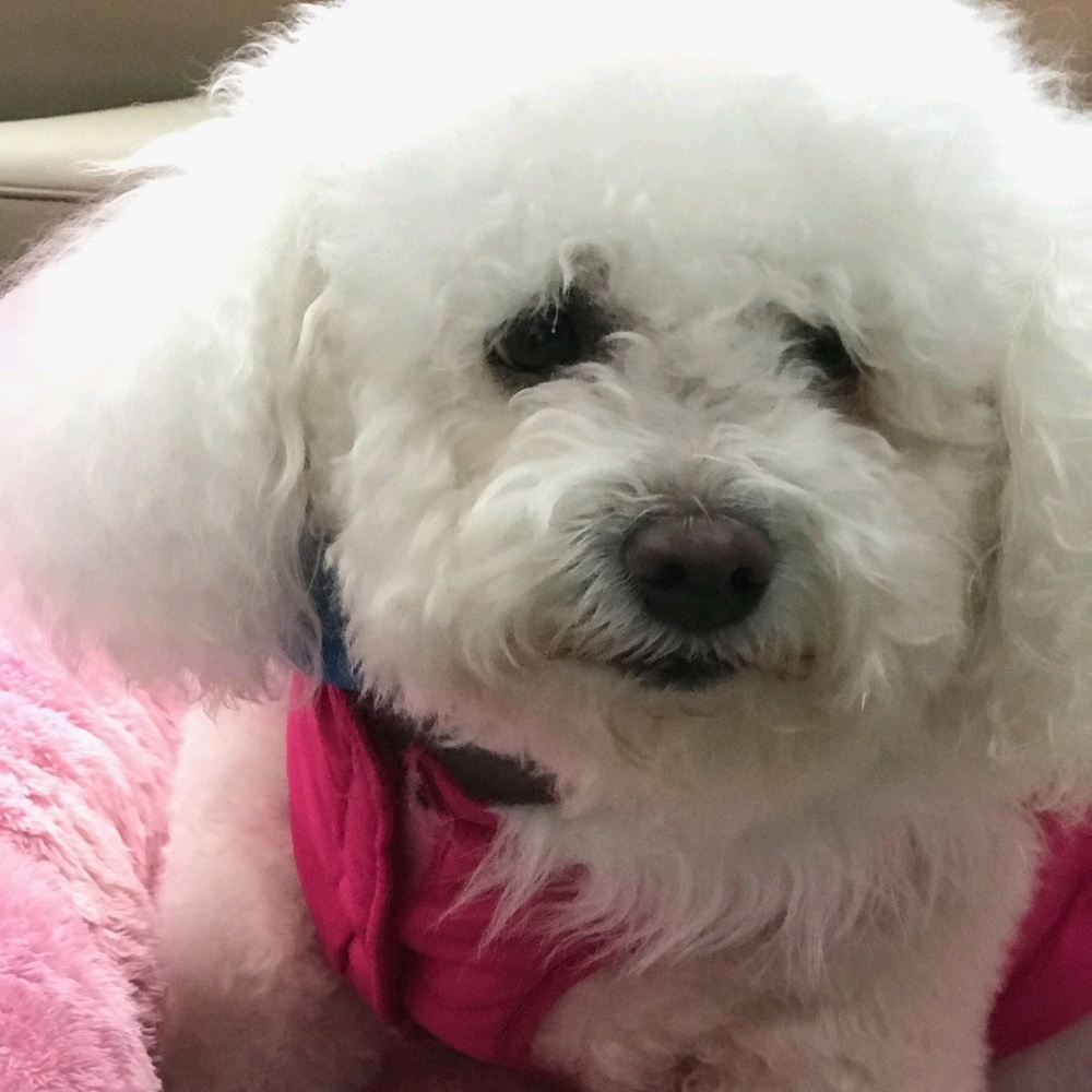 Meet your Posher, Terri